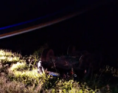 Corrientes: conductor derrapó y volcó en RP 27 cerca de Lavalle